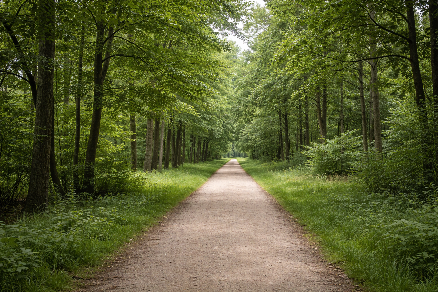Terapie v přírodě